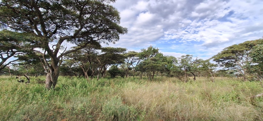 2 Bedroom Property for Sale in Koster North West